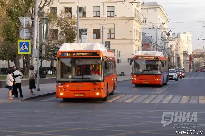 The Public Chamber proposed making public transport free for children.