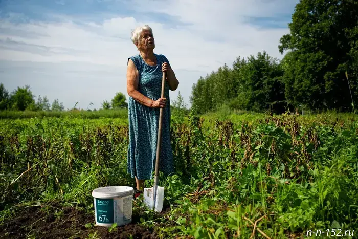 Nizhny Novgorod residents were informed which land plots will be seized from September 1.