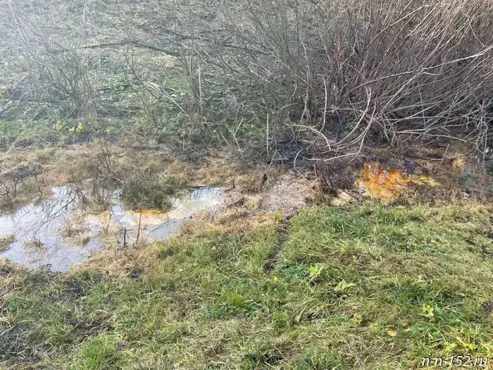 The prosecutor's office has taken an interest in the spill of petroleum products in Kstovo District.