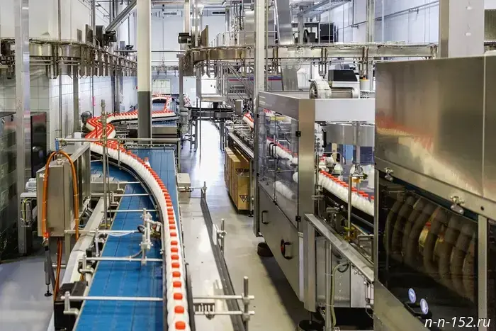 A Nizhny Novgorod–based dairy producer has joined the federal project "Labor Productivity".