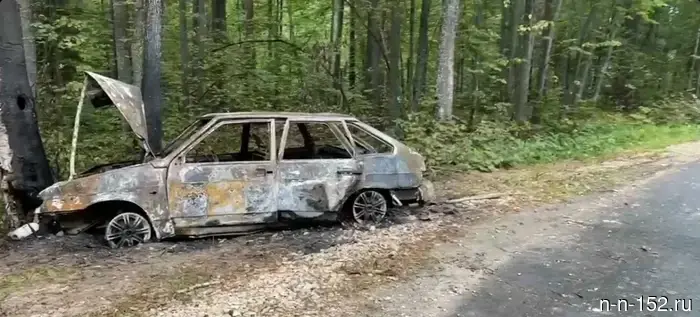 A car crashed into a tree and caught fire in the Nizhny Novgorod region.