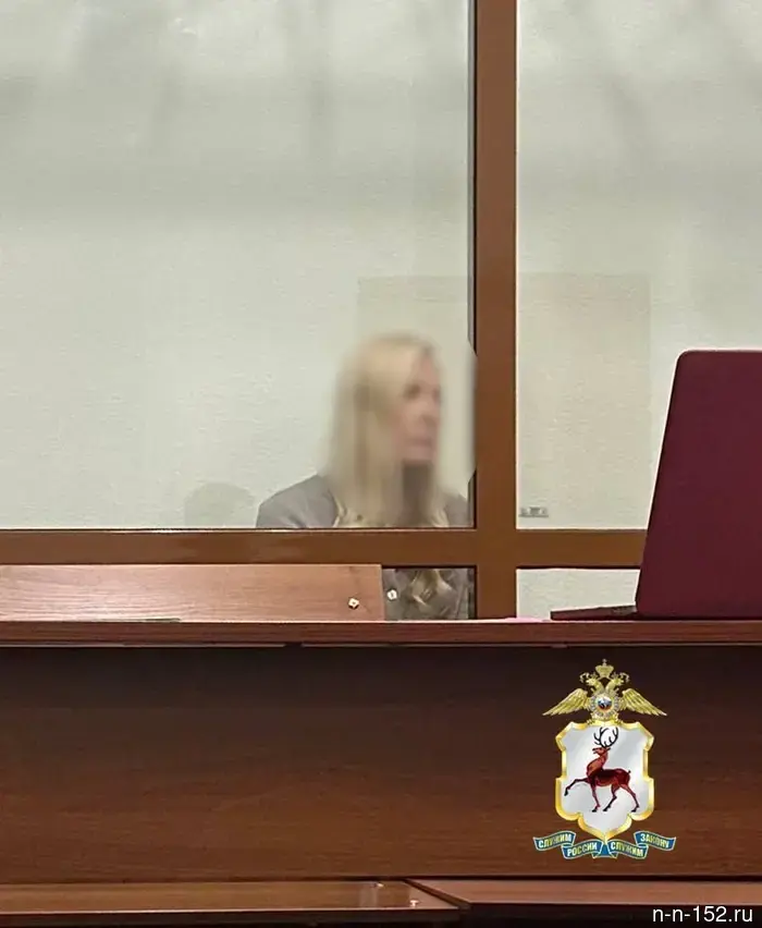 Дочь бывшего главного врача нижегородской больницы №33 останется в СИЗО до 2 июня.