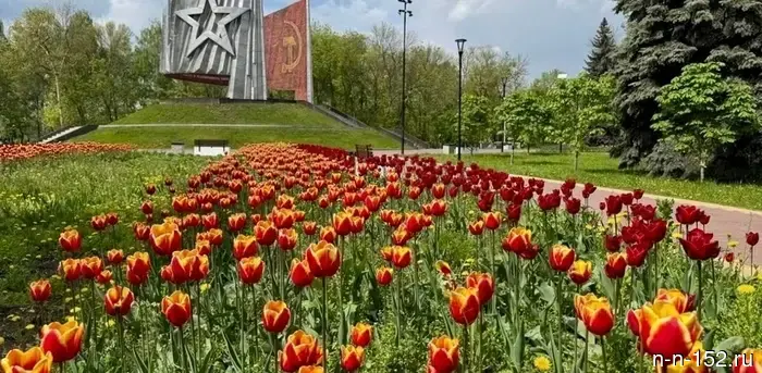 В Нижнем Новгороде будут высажены более 21 тысячи квадратных метров цветников.