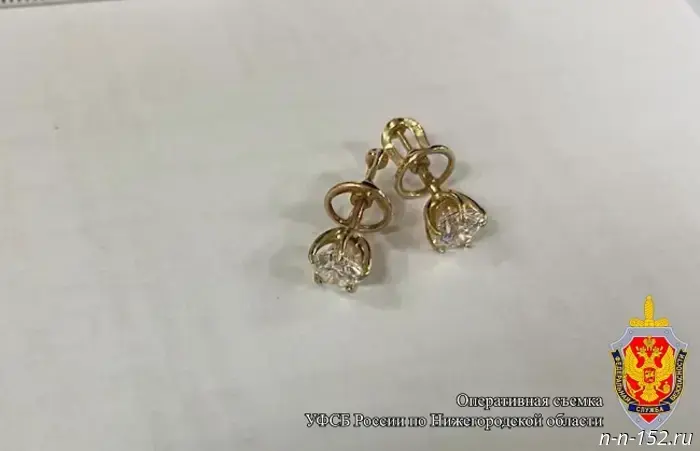 A Nizhny Novgorod resident was detained for smuggling diamonds worth 2 million rubles.