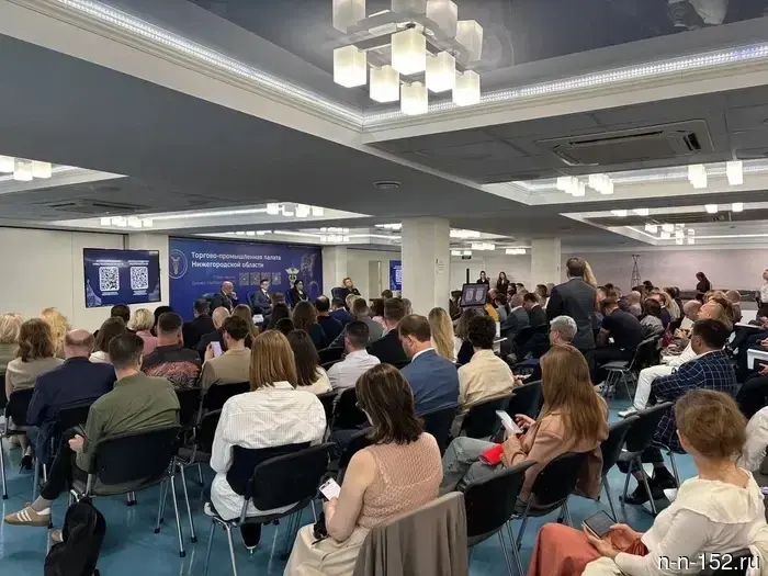 В Нижегородской области предложили организовать закрытую сеть в связи с неполадками в связи.