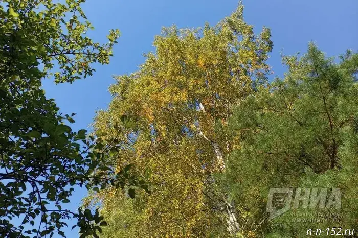 Warm weather will delight Nizhny Novgorod residents in early September.