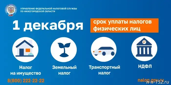 Federal Tax Service: Nizhny Novgorod residents must pay taxes no later than December 1.