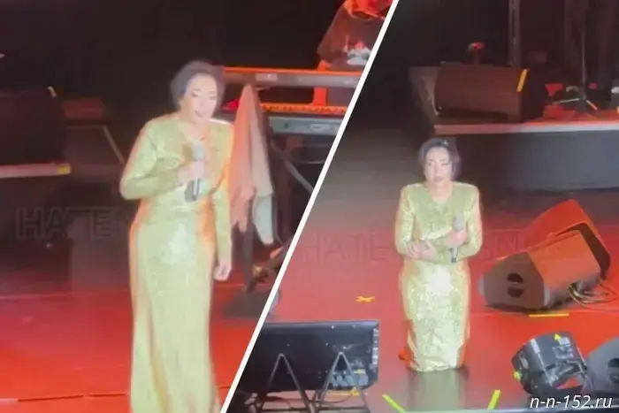 Lolita apologized to Nizhny Novgorod residents for the expensive tickets while kneeling.