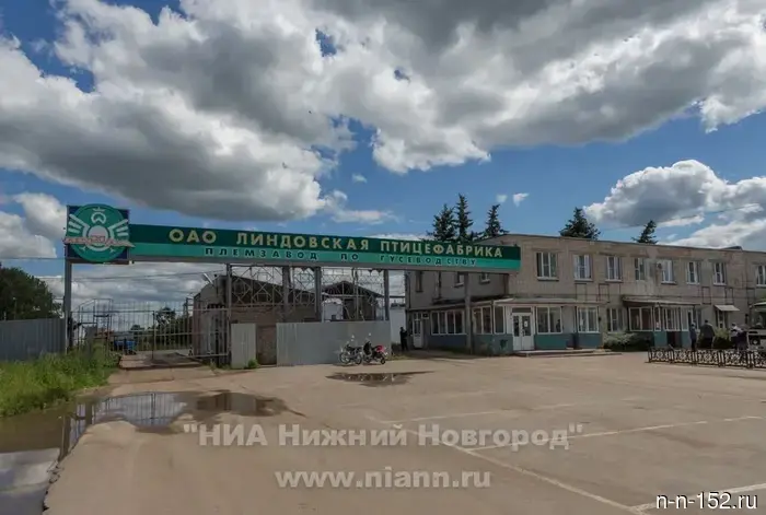A new owner is planned to be found for the Lindovskaya poultry farm.