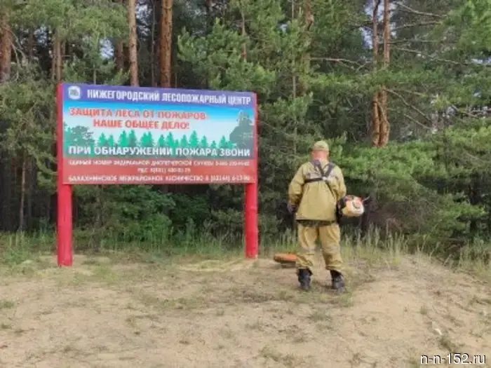 In the forests of the Nizhny Novgorod region, more than three thousand recreation areas have been equipped to ensure fire safety.