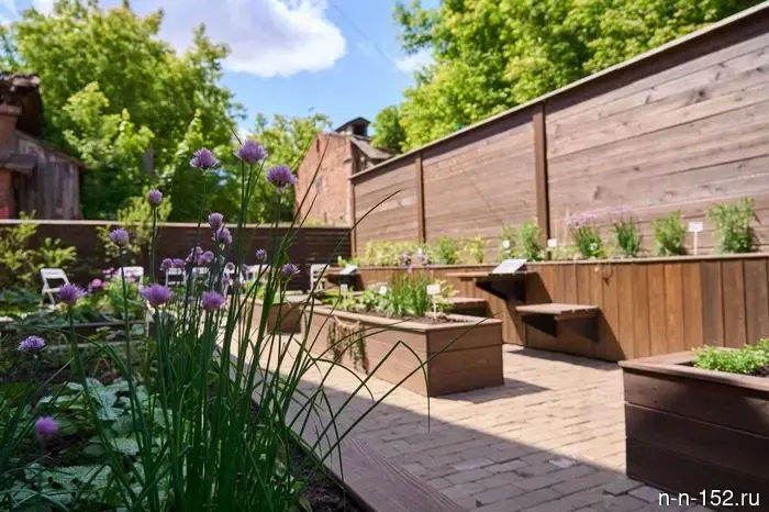 The Apothecary Garden of the 19th century opened in the Nizhny Novgorod "Evenius House".