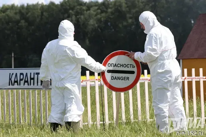 A rabies quarantine has been introduced in Sergach.