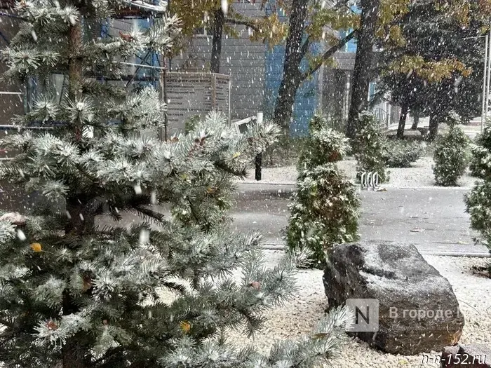 Nizhny Novgorod residents were told when the snowfall in the region will end.