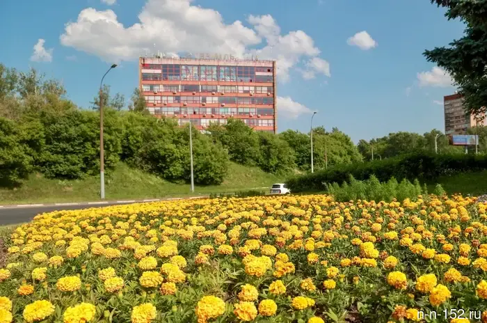 Живое украшение города: в Нижнем Новгороде на улицах будет высажено 21 тыс. кв. метров цветников.