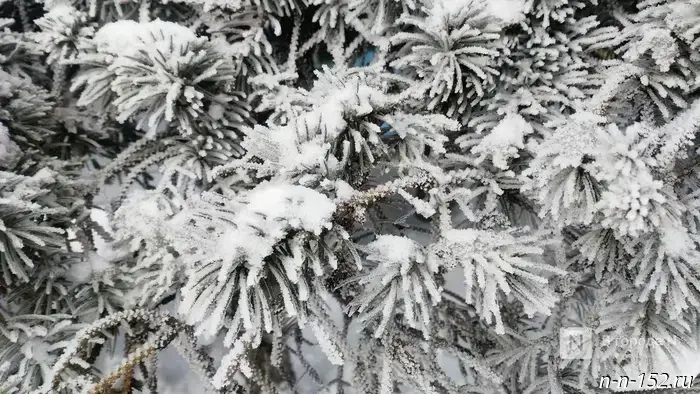 Snowfall will hit Nizhny Novgorod at the end of November.