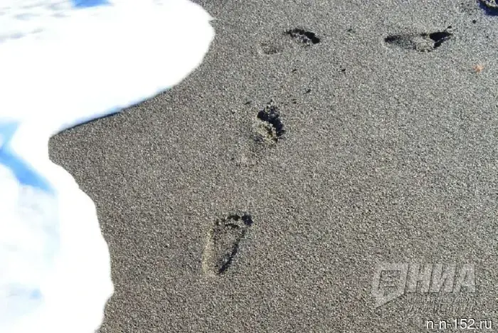 Residents and guests of St. Petersburg have been warned against visiting the beach on the Gulf of Finland.