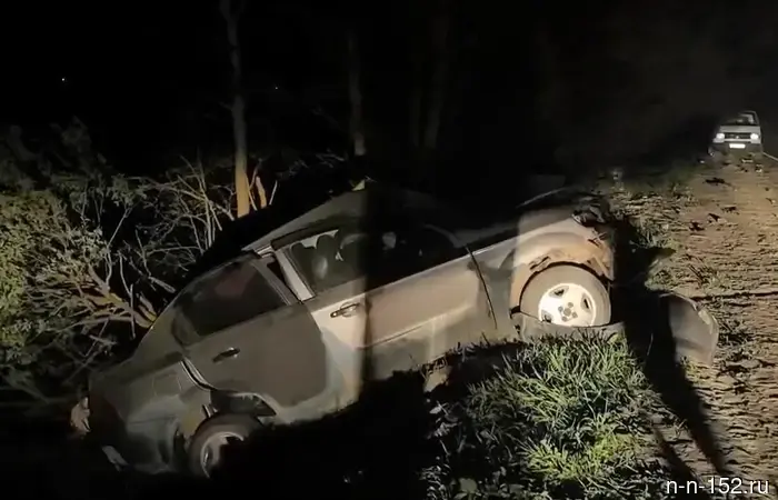 Водитель автомобиля ВАЗ скончался в результате аварии на дороге в Кулебакском районе.