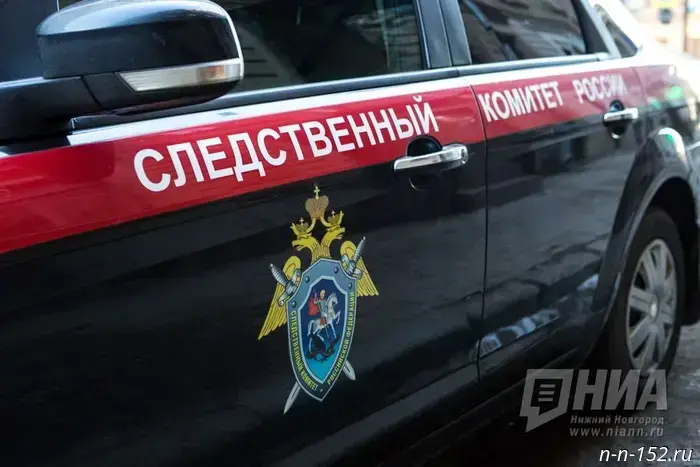 Bastyrkin expressed interest in the violation of orphan rights in the Nizhny Novgorod region.