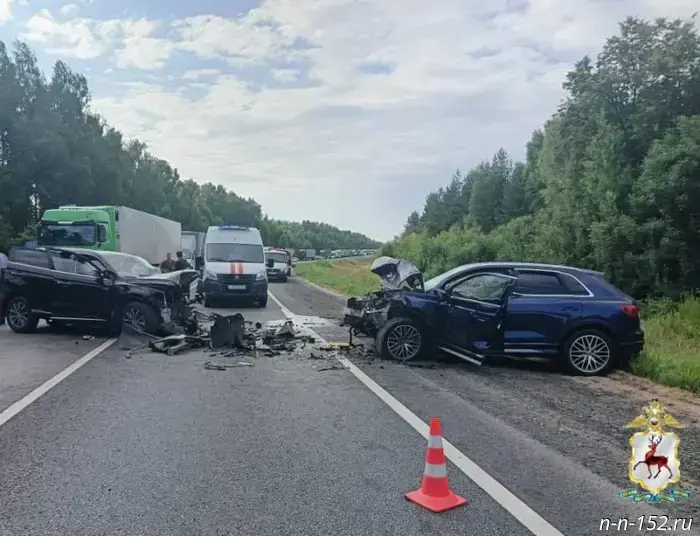 Fatal accident on M-7 highway in Vorotynsky district resulted in a criminal case.