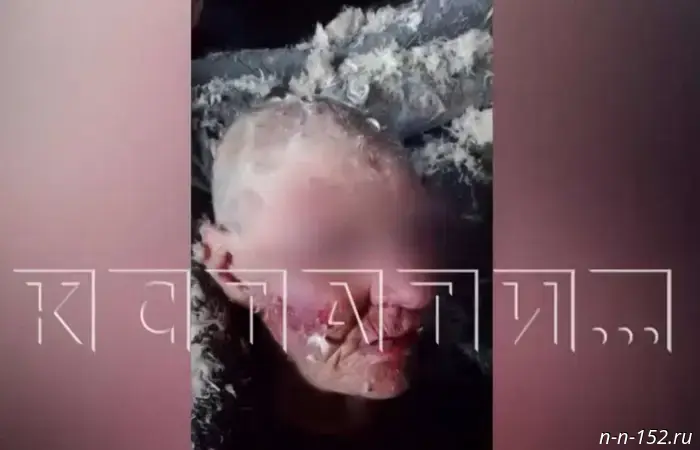 The children who took part in the brutal beating of a woman from Nizhny Novgorod were taken from their families.