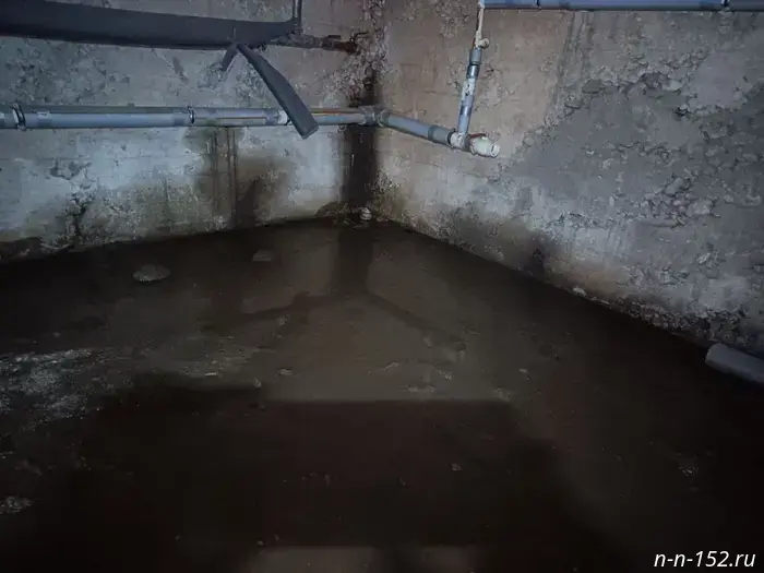 Грунтовые воды подмывают сталинку на улице Бурденко в Нижнем Новгороде.
