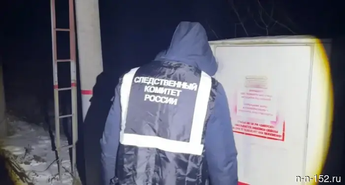 Подростки подожгли железную дорогу в Нижегородской области за деньги.