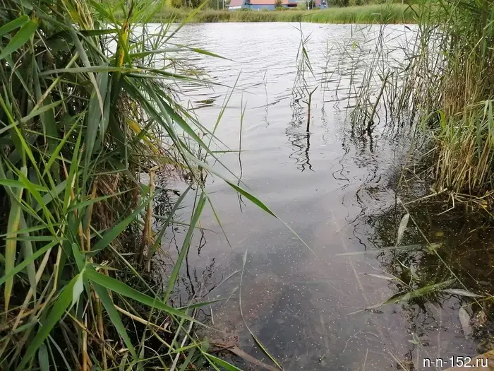 The municipal enterprise in Pervomaisk will be fined 1.5 million rubles for polluting the Umotch River.