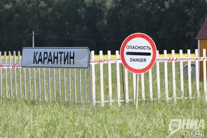 В Нижегородской области обнаружили еще два случая бешенства.