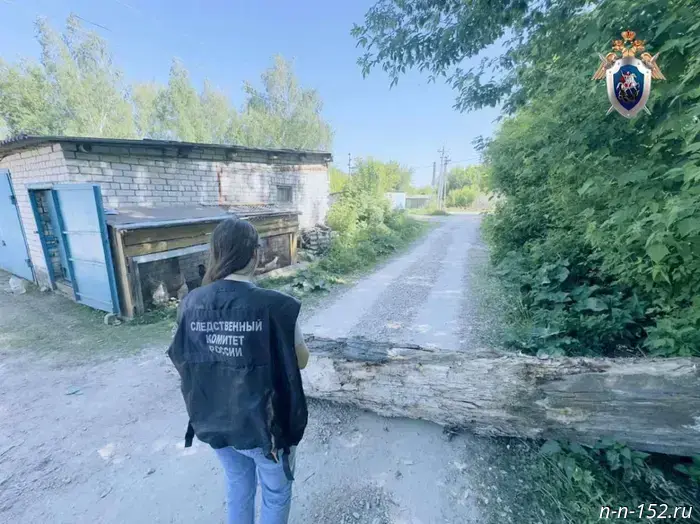 Former deputy head of Perevoz to be sentenced for the death of a man caused by a falling tree.