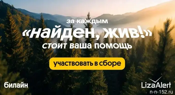 In 2025, the rescue team "LisaAlert," with the support of Beeline, found and rescued 422 missing residents of Nizhny Novgorod.