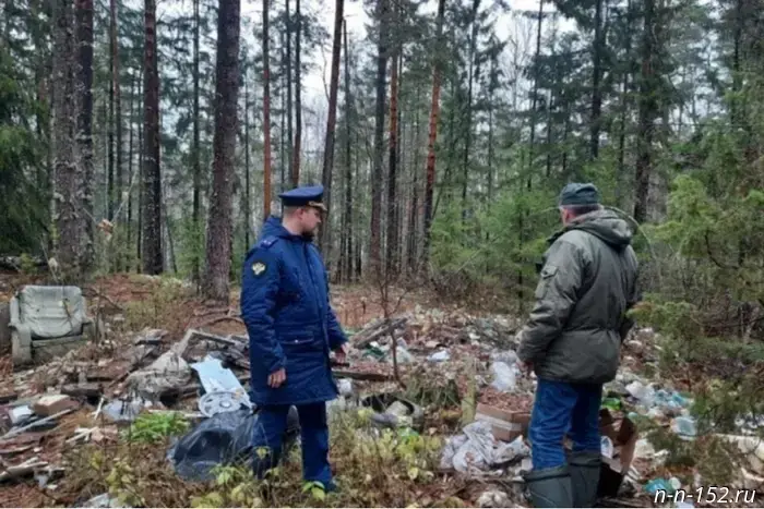 A dump and illegal structures were found in Nizhny Novgorod National Park.