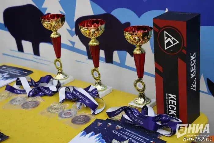 В Нижнем Новгороде состоялся турнир по стрельбе из пневматического оружия.