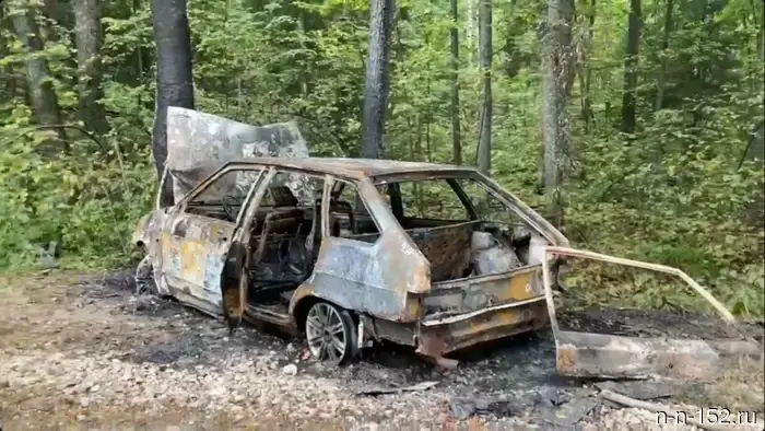 In the Navashinsky district, a car caught fire after hitting a tree.