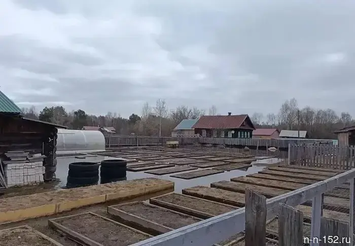 The bridge over the Tesha in the Nizhny Novgorod region has been cleared of water.