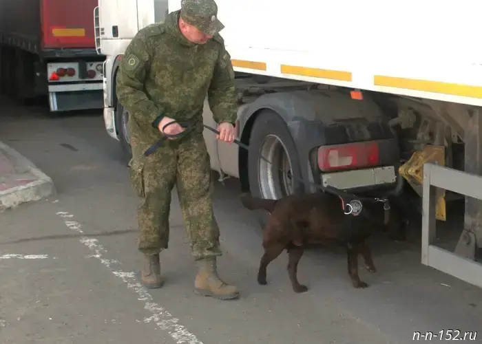 Ahead of their professional holiday, Saratov customs officers summed up the results of their law-enforcement activities over a nine-month period.