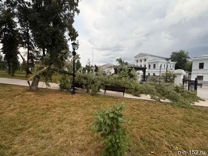В Арзамасском округе ликвидируют последствия ураганного ветра.
