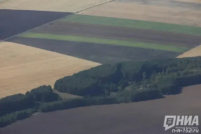 Almost half of the samples of Nizhny Novgorod soil showed exceeding levels of microbes.