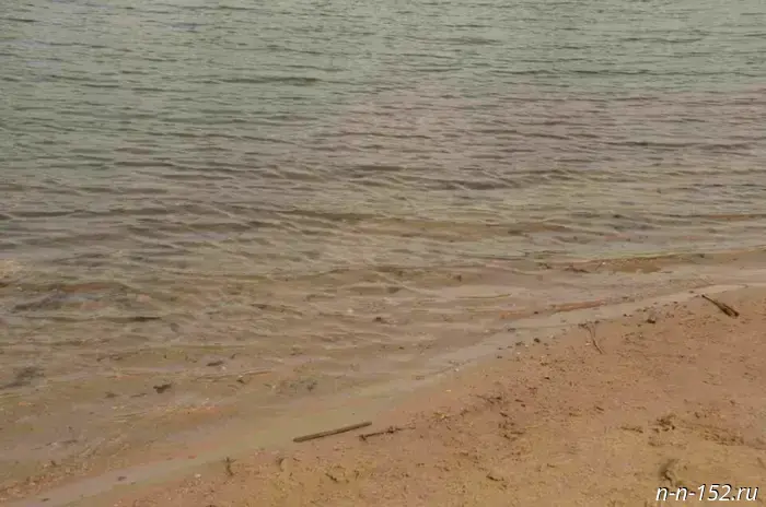 Тело 58-летнего мужчины было извлечено из озера в Павловском районе.