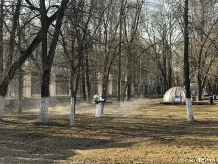 Муниципальные парки Нижнего Новгорода будут закрыты для обработки от клещей.