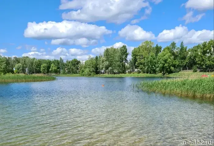 A wastewater treatment plant will be built near the Silicate Lake for 47.6 million rubles.