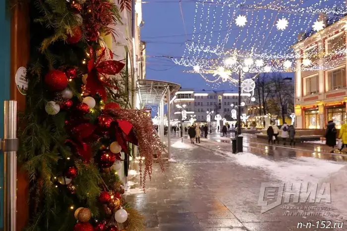 Министерство лесного хозяйства Нижегородской области организует сбор новогодних ёлок для последующей переработки.