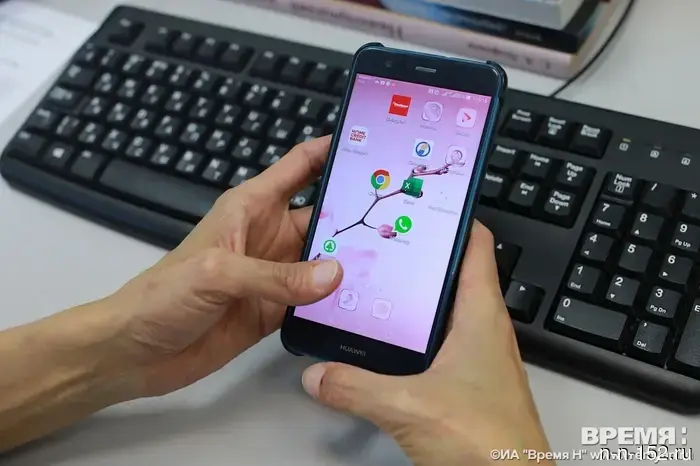 Жительница Городца попыталась заработать в сети и потеряла 293 тысячи рублей.