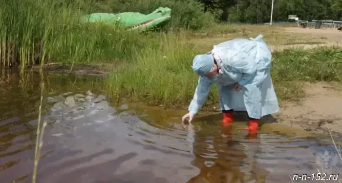 Купание разрешено: 11 водоемов в Нижегородской области признаны безопасными.