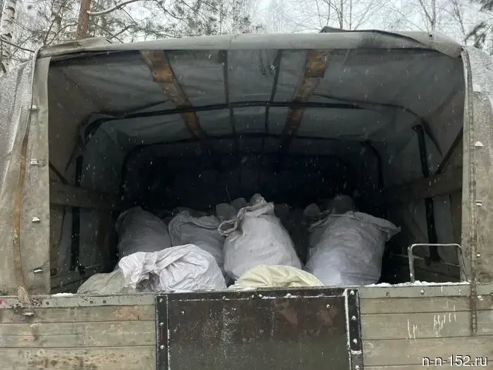 В рамках акции "Чистый лес" в Нижегородских лесах уберут 31 свалку.