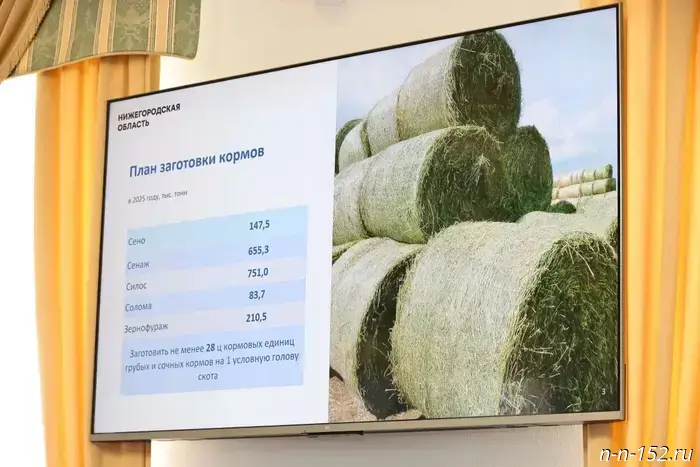 The ZSNO Committee on the Agro-Industrial Complex discussed the preliminary results of the harvest campaign.