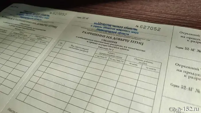 Выдача лицензий на охоту за пернатой дичью в Нижегородской области стартует 20 марта.