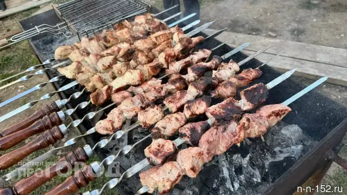 Nizhny Novgorod dacha owners face a fine of up to 20,000 rubles for barbecuing on their property.