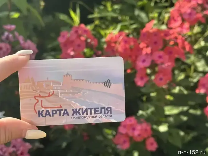 Более 350 тысяч нижегородцев уже оформили виртуальную «Карту жителя».