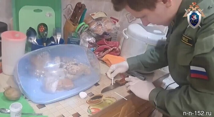 В Шатковском районе Нижегородской области мужчина был признан виновным в убийстве своей снохи, совершённом с особой жестокостью (оперативное видео).