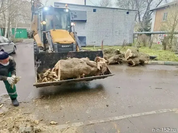 Ураганный ветер сдернул 18 деревьев в Нижнем Новгороде.
